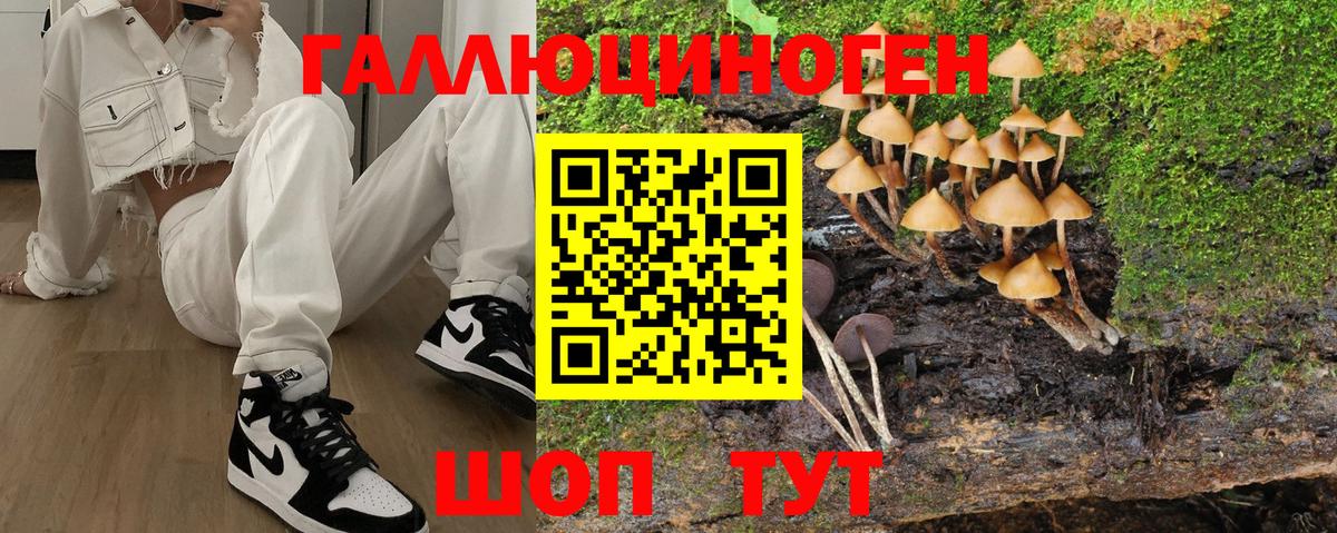 Псилоцибиновые грибы MAGIC MUSHROOMS Заводоуковск