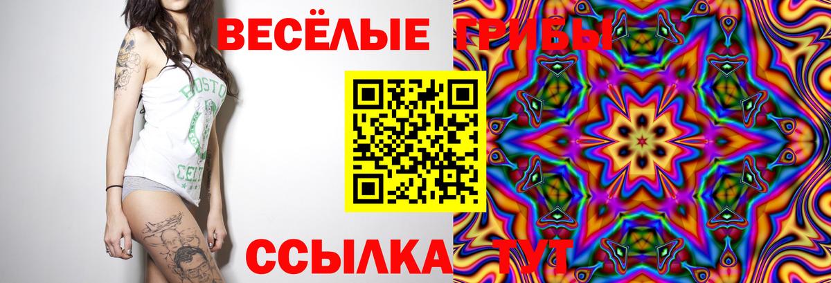 Заводоуковск  Псилоцибиновые грибы GOLDEN TEACHER  Галлюциногенные грибы мухоморы  Вход с VPN 